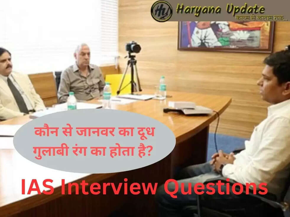 IAS Interview Questions