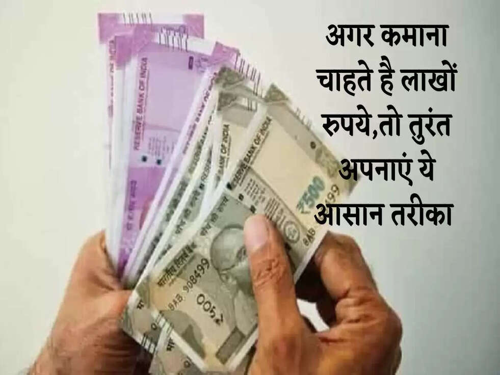 Business Idea: अगर कमाना चाहते है लाखों रुपये,तो तुरंत अपनाएं ये आसान तरीका 
