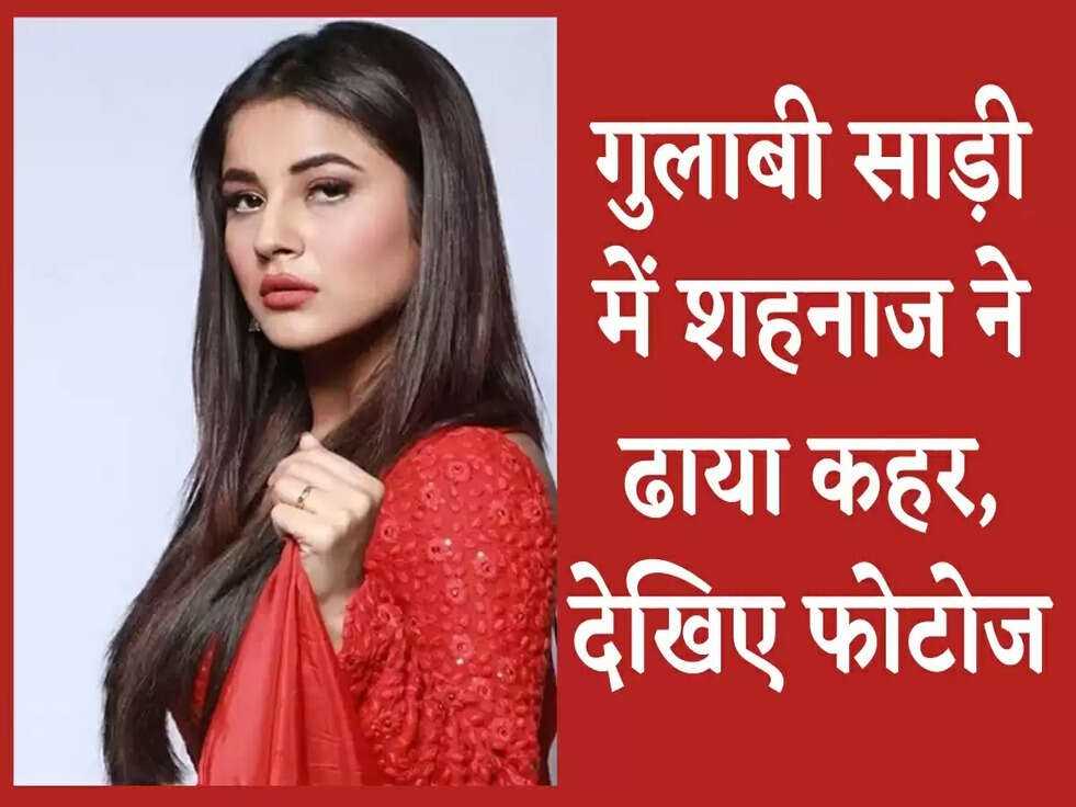 Shehnaaz Gill Photoshoot: गुलाबी साड़ी में शहनाज ने ढाया कहर, देखिए फोटोज&nbsp;