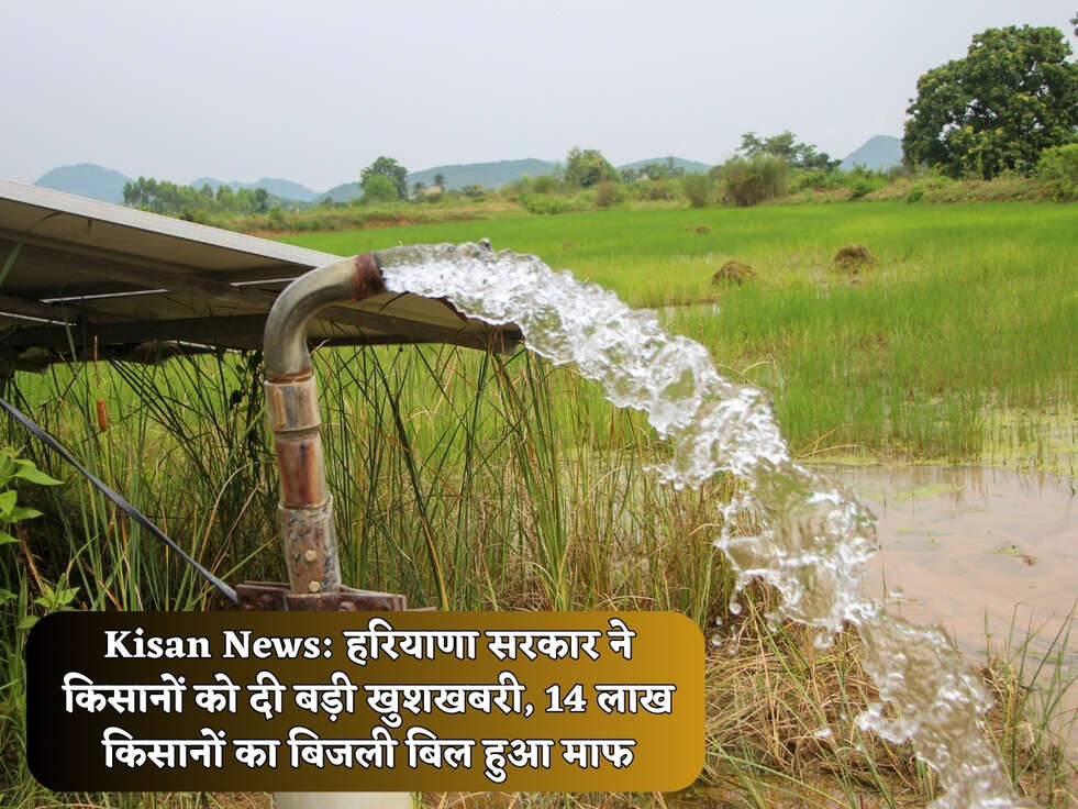 Kisan News: हरियाणा सरकार ने किसानों को दी बड़ी खुशखबरी, 14 लाख किसानों का बिजली बिल हुआ माफ