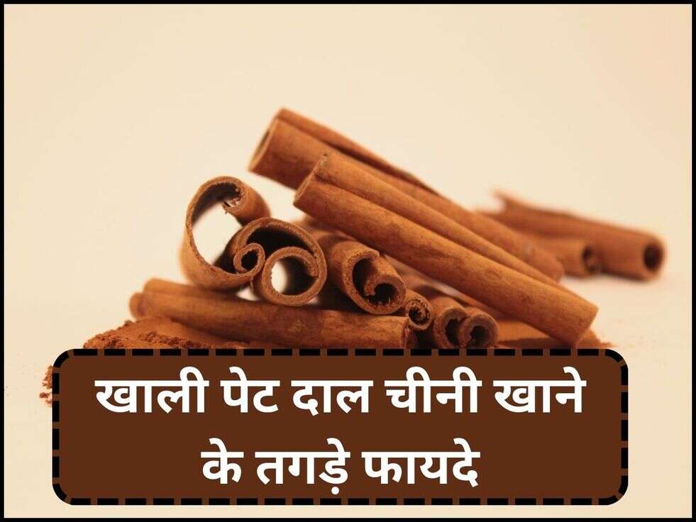 Cinnamon Benefits: खाली पेट दाल चीनी खाने के तगड़े फायदे