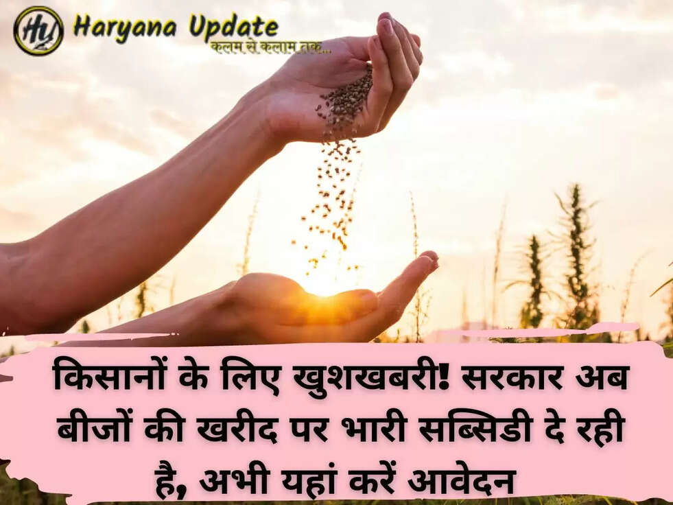 किसानों के लिए खुशखबरी! सरकार अब बीजों की खरीद पर भारी सब्सिडी दे रही है,&nbsp;अभी यहां करें आवेदन&nbsp;