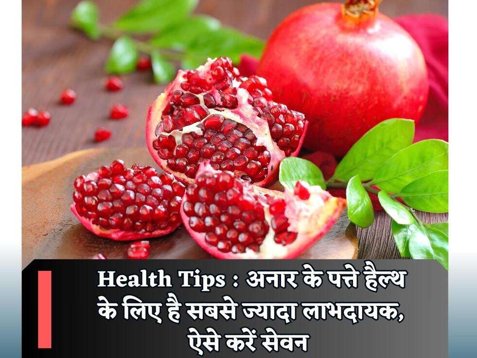 Health Tips : अनार के पत्ते हैल्थ के लिए है सबसे ज्यादा लाभदायक, ऐसे करें सेवन&nbsp;