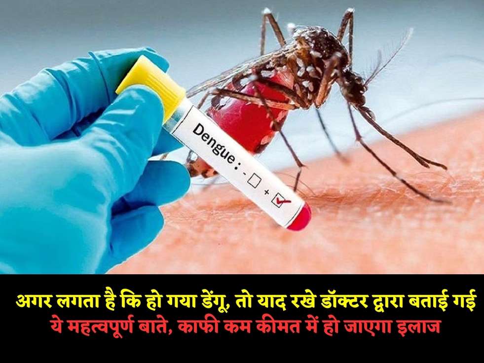 अगर लगता है कि हो गया डेंगू, तो याद रखे डॉक्टर द्वारा बताई गई ये महत्वपूर्ण बाते, काफी कम कीमत में हो जाएगा इलाज