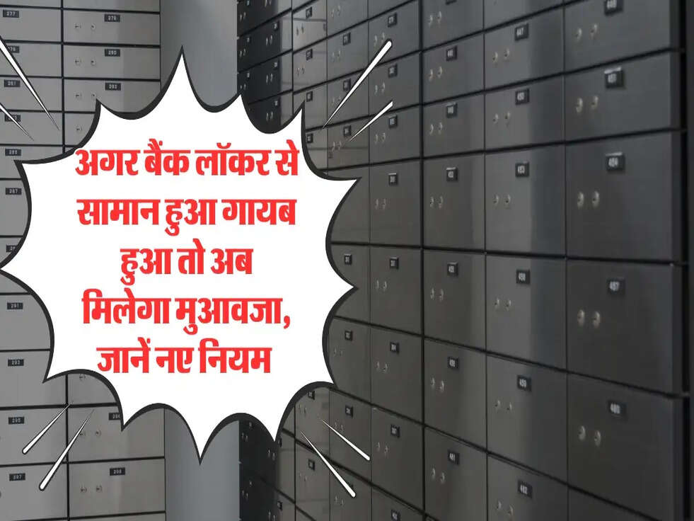 Bank Locker Rules