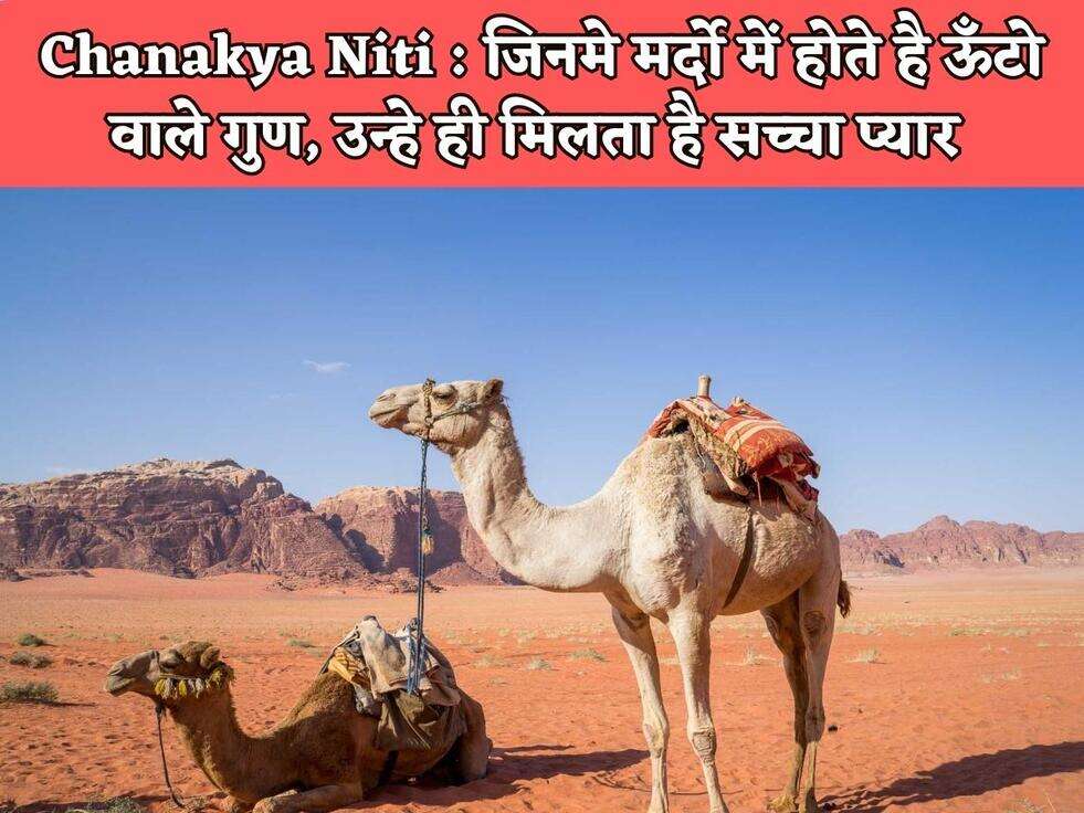Chanakya Niti : जिनमे मर्दो में होते है ऊँटो वाले गुण, उन्हे ही मिलता है सच्चा प्यार&nbsp;