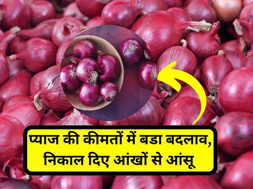 Onion Price Hike