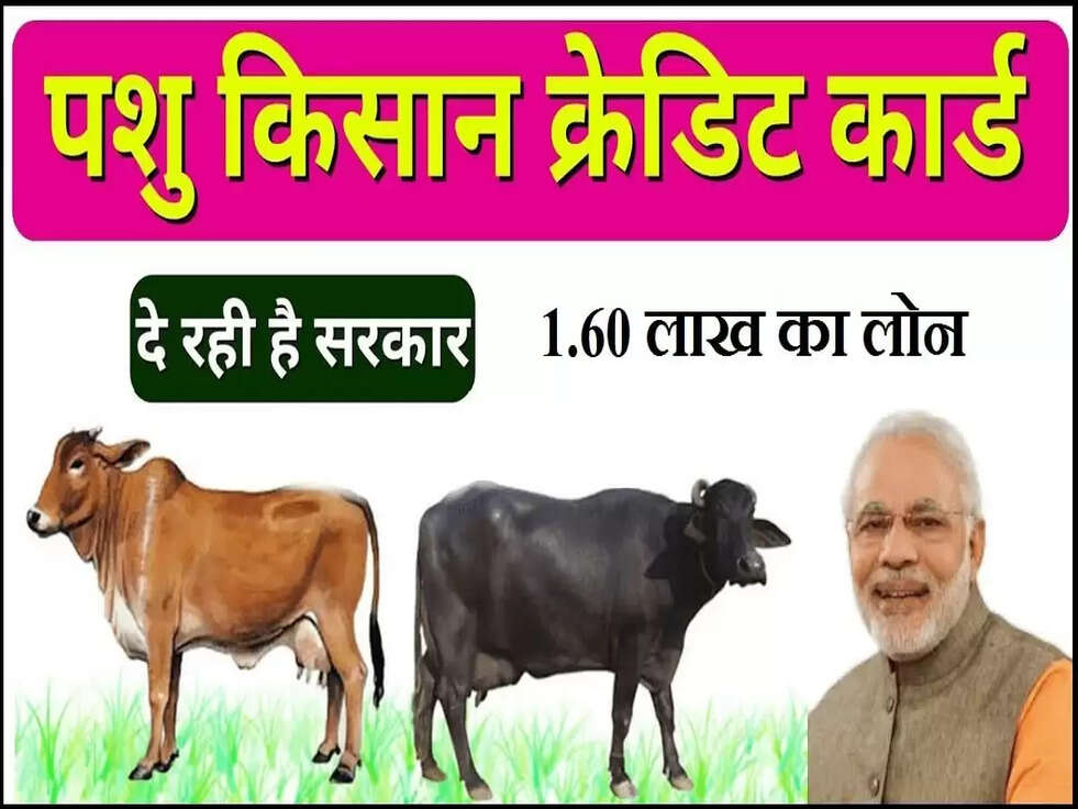 pashu kisan credit card