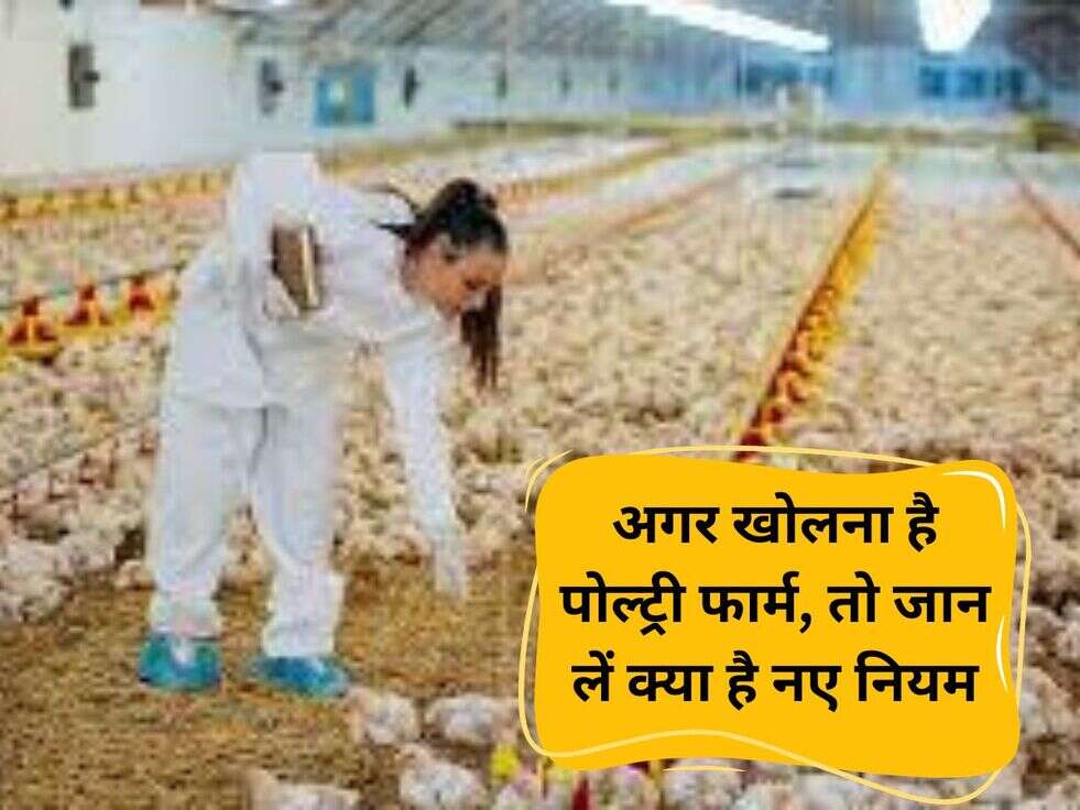 Poultry Farm New Rule