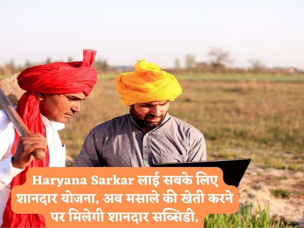 Haryana Sarkar लाई सबके लिए शानदार योजना, अब मसाले की खेती करने पर मिलेगी शानदार सब्सिडी,