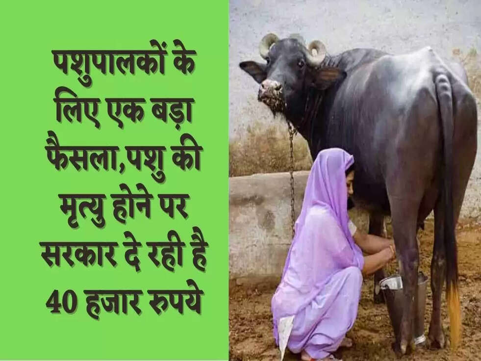 पशुपालकों के लिए एक बड़ा फैसला,पशु की मृत्यु होने पर सरकार दे रही है 40 हजार रुपये