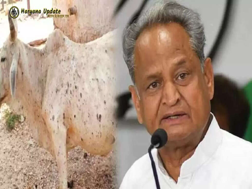 गांधी परिवार से इस बार कोई नहीं लड़ेगा कांग्रेस अध्यक्ष पद का चुनाव, इस नेता ने की पुष्टि&nbsp;