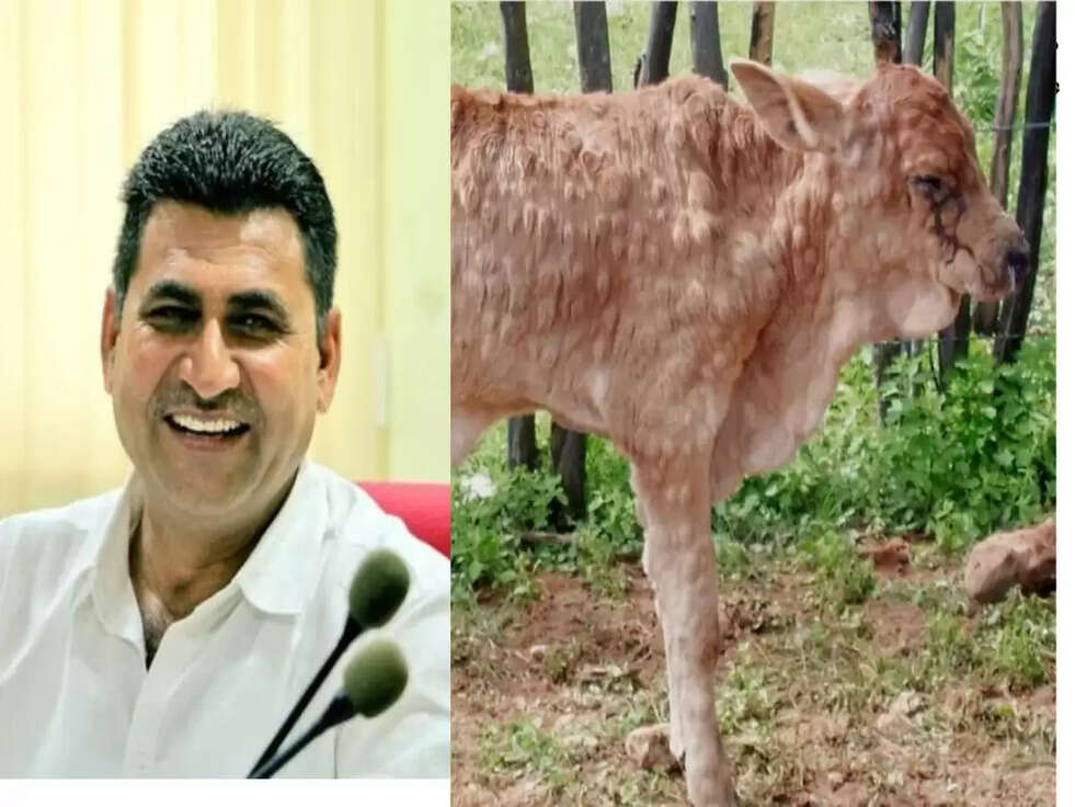 Lumpy Virus: लम्पी स्किन रोग को लेकर सरकार सतर्क, लोगों को अवगत कराने धरातल पर उतरे-Revenue Minister Ramlal Jat