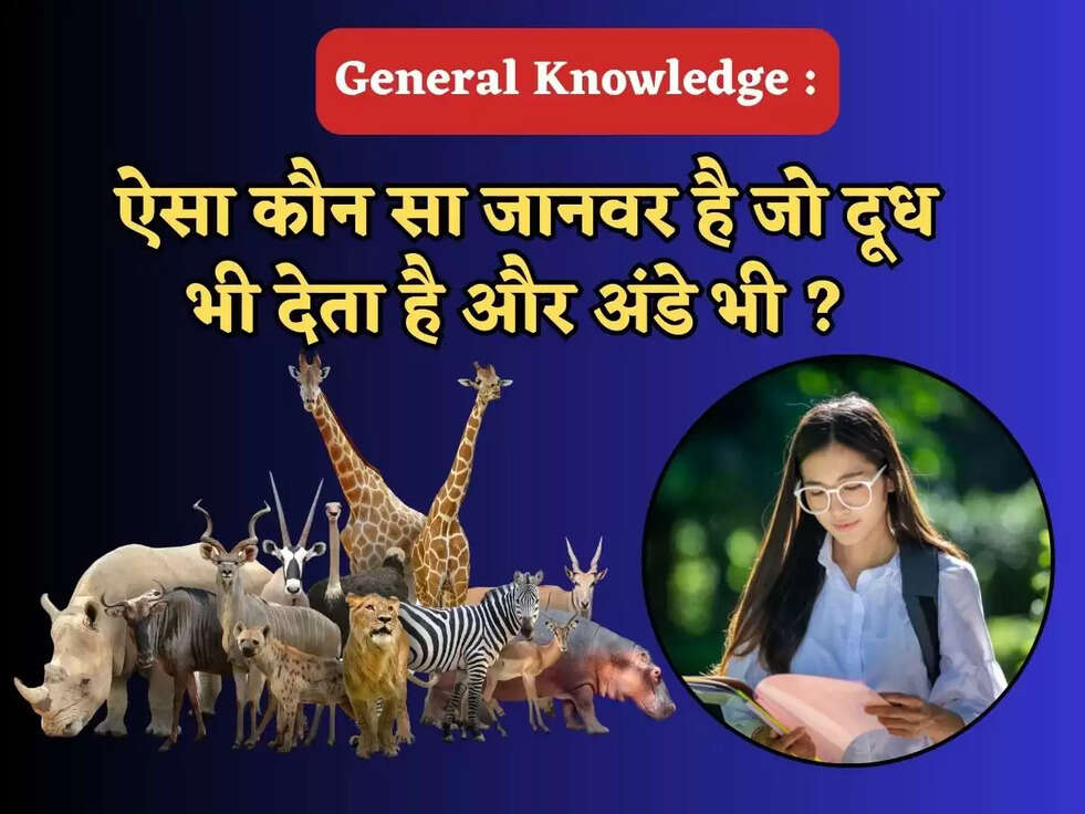 GK Quiz: ऐसा कौन सा जानवर है जो&nbsp;दूध भी देता है और अंडे भी ?