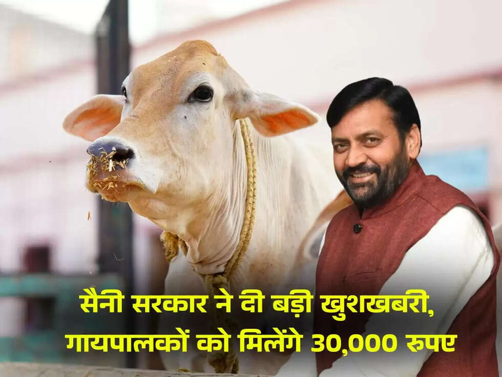 Haryana Cow Scheme