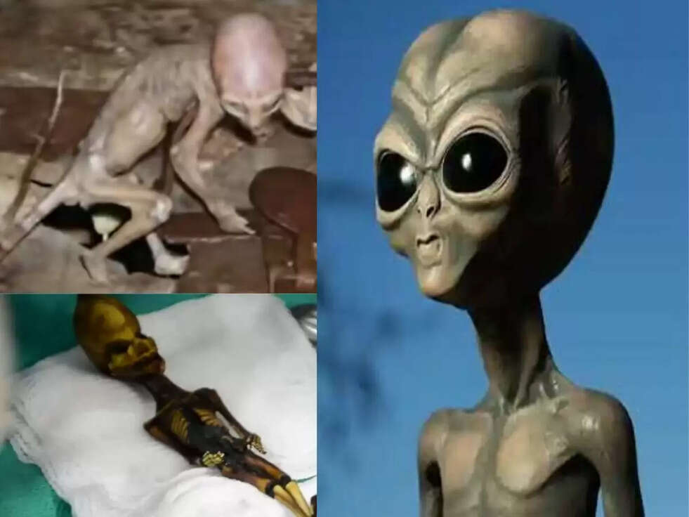 Skeleton :&nbsp;एल&zwj;ियन&nbsp;के&nbsp;कंकाल के&nbsp;रहस्य&nbsp;का हुआ खुलासा.... क्&zwj;या है पूरा मामला&hellip;