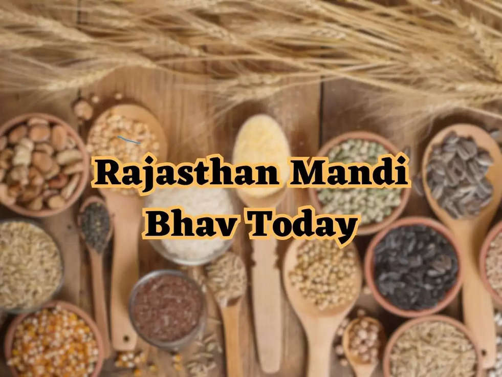 Rajasthan Mandi Bhav Today: राजस्थान के नये ताजा मंडी भाव, जल्दी पढ़े पूरी खबर 