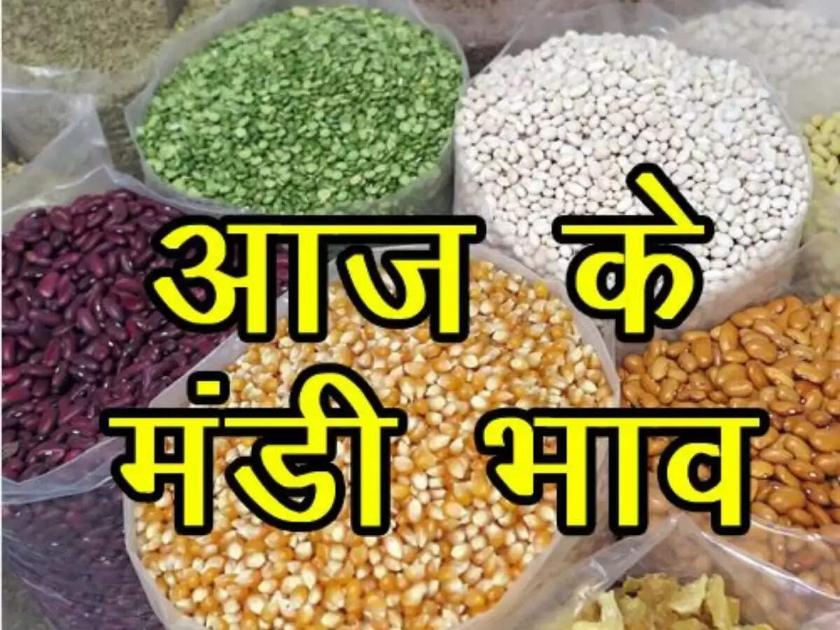Mandi Bhav Today: मूंगफली और सोयाबीन रिफाइंड में 40 रुपये की तेजी, जानिए आज के मंडी भाव