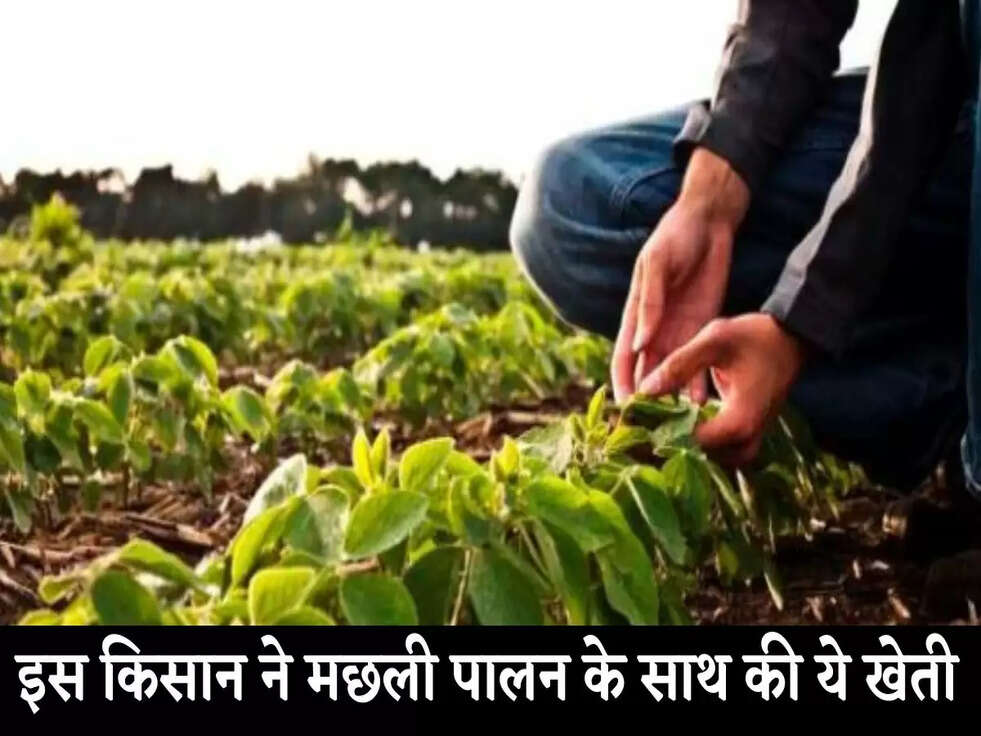 Success Story:&nbsp;इस किसान ने मछली पालन के साथ की ये खेती, 15 साल तक मिला लगातार मुनाफा