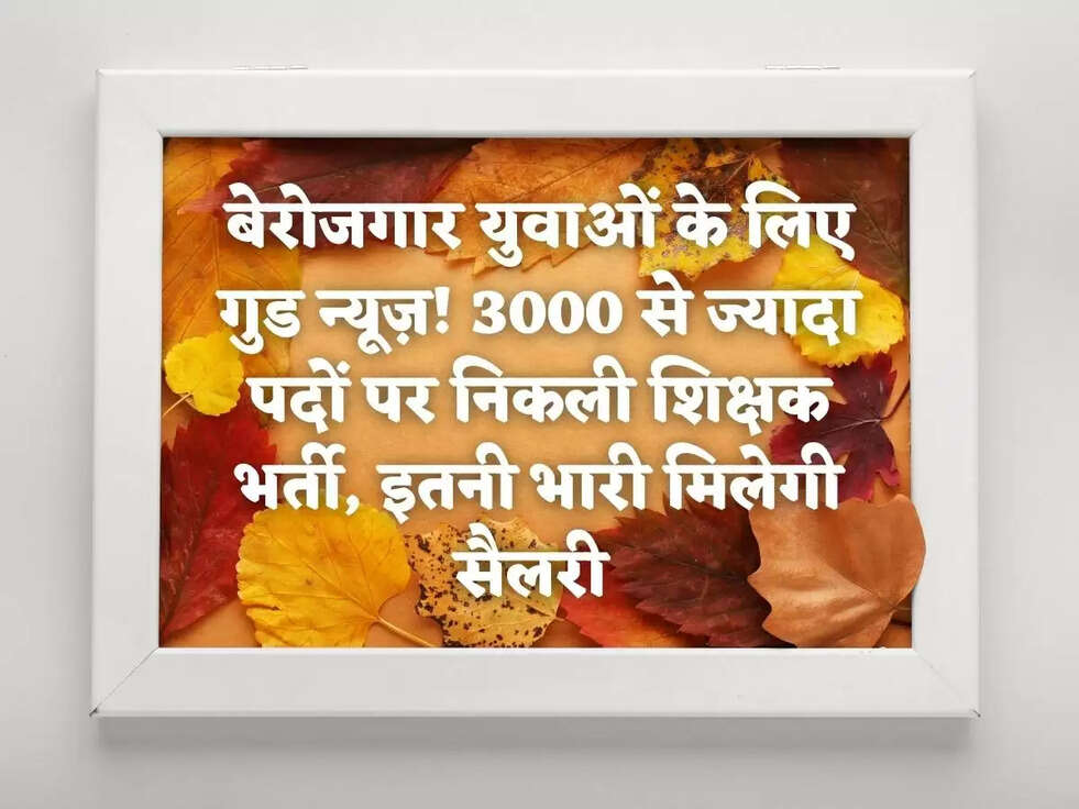 बेरोजगार युवाओं के लिए गुड न्यूज़! 3000 से ज्यादा पदों पर निकली शिक्षक भर्ती, इतनी भारी मिलेगी सैलरी&nbsp;