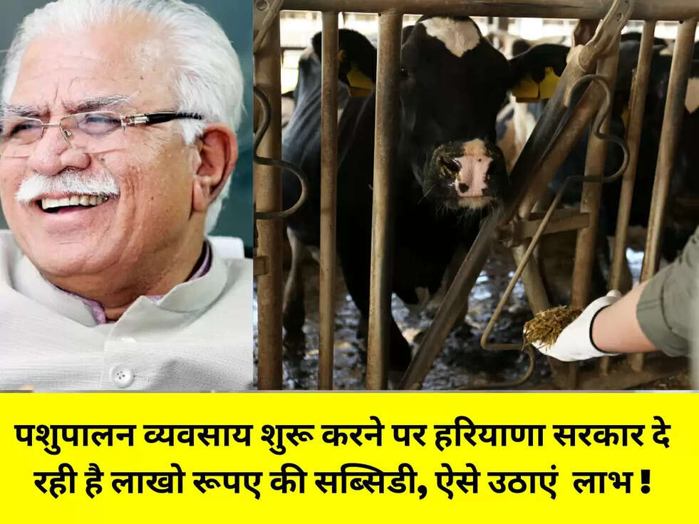 पशुपालन&nbsp;व्यवसाय शुरू करने पर हरियाणा सरकार दे रही है लाखो रूपए की सब्सिडी, ऐसे उठाएं&nbsp; लाभ !