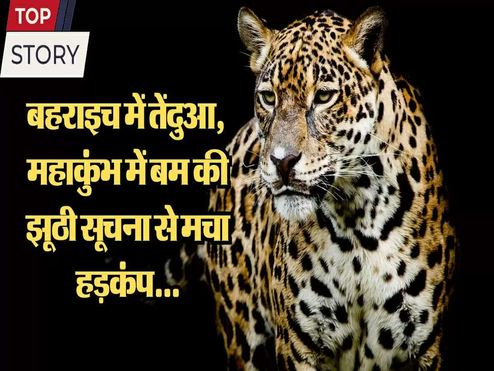 Today's Top News from UP: बहराइच में तेंदुआ, महाकुंभ में बम की झूठी सूचना से मचा हड़कंप...