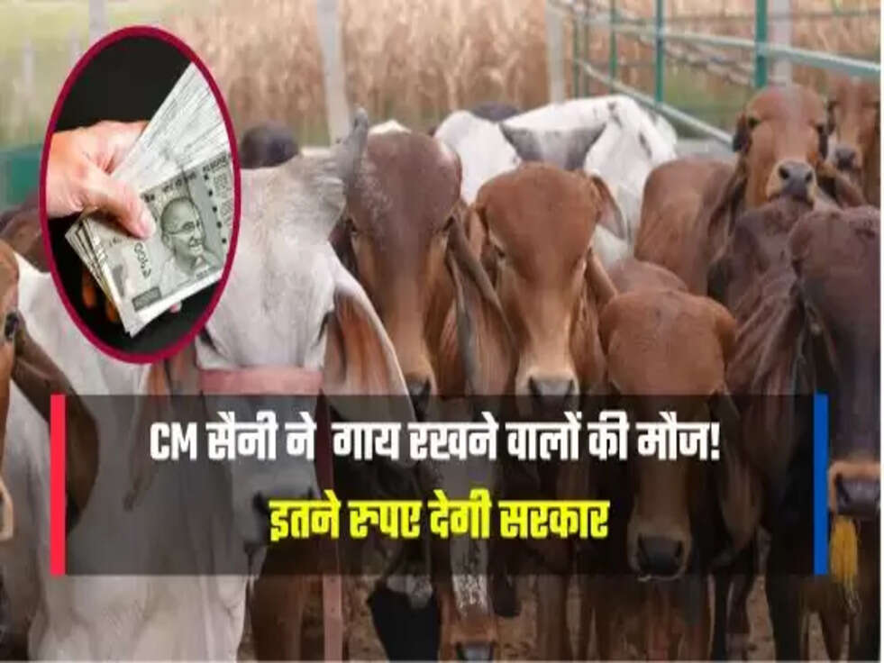 CM सैनी ने  गाय रखने वालों की मौज