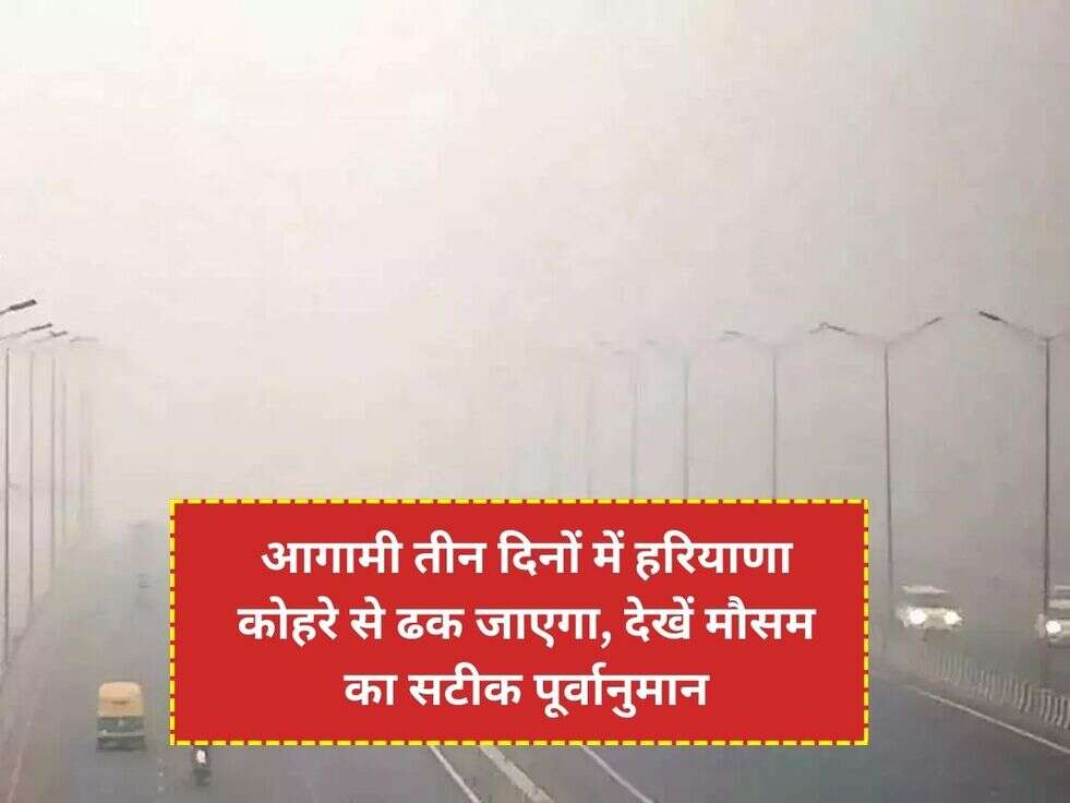 आगामी तीन दिनों में हरियाणा कोहरे से ढक जाएगा, देखें मौसम का सटीक पूर्वानुमान