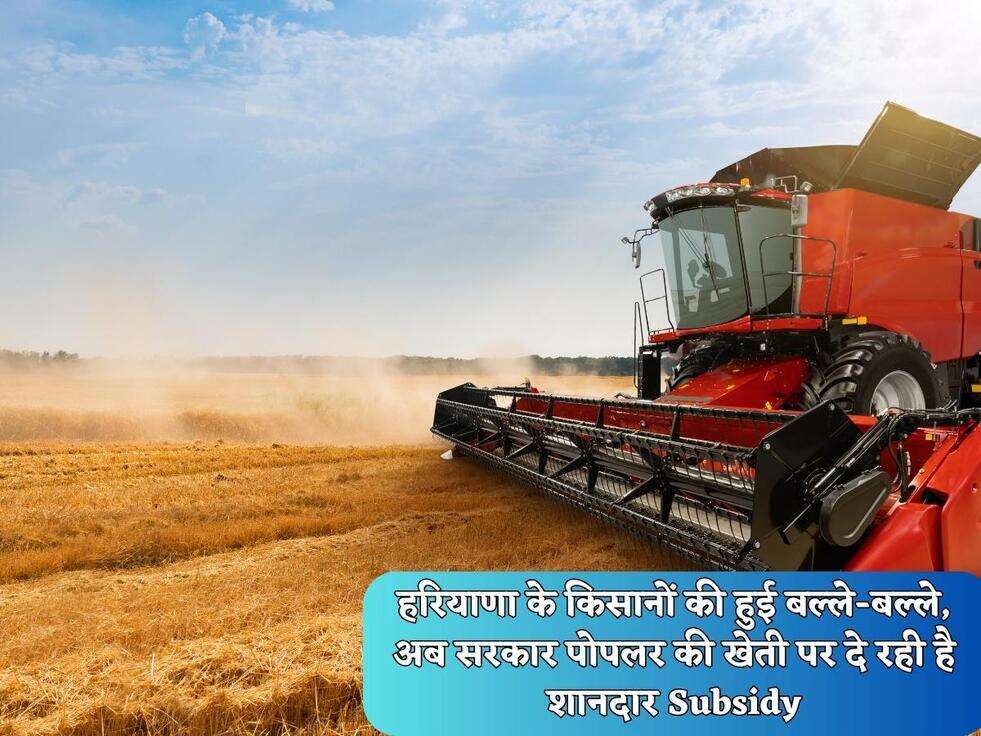Govt. Scheme: हरियाणा के किसानों की हुई बल्ले-बल्ले, अब सरकार पोपलर की खेती पर दे रही है शानदार Subsidy