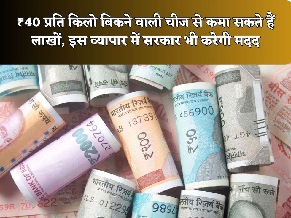 ₹40 प्रति किलो बिकने वाली चीज से कमा सकते हैं लाखों, इस व्यापार में सरकार भी करेगी मदद