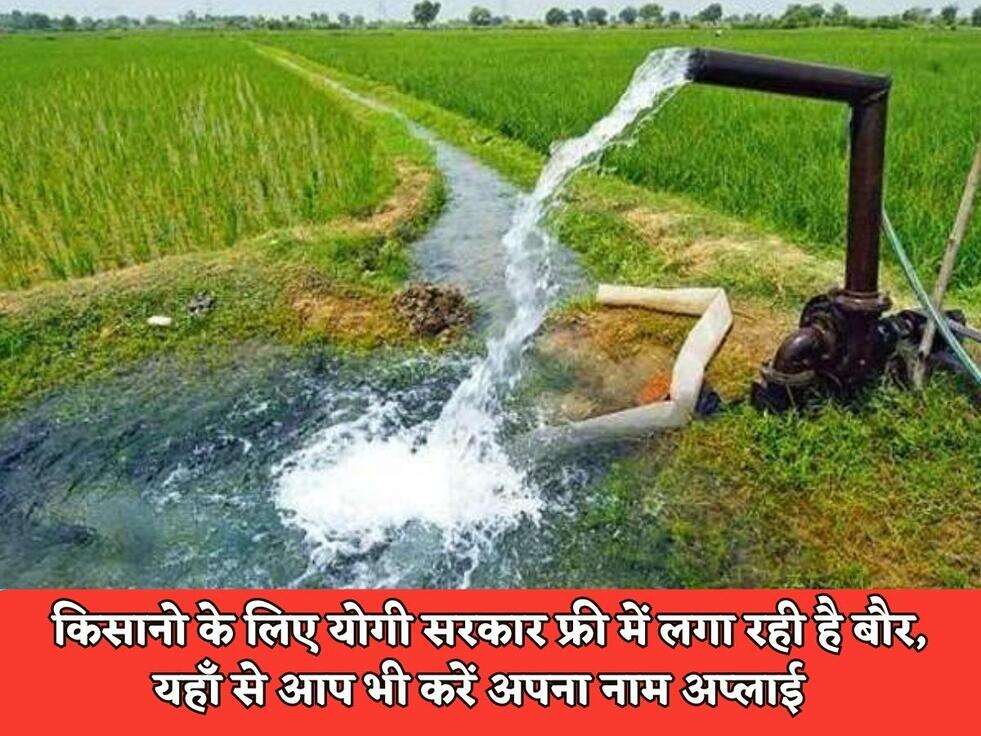 UP Kisan Scheme : किसानो के लिए योगी सरकार फ्री में लगा रही है बौर, यहाँ से आप भी करें अपना नाम अप्लाई&nbsp;&nbsp;
