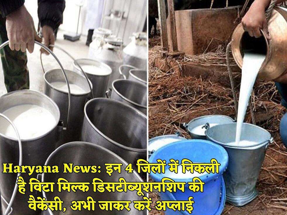 Haryana News: इन 4 जिलों में निकली है विटा मिल्क डिसटीब्यूशनशिप की वैकेंसी, अभी जाकर करें अप्लाई