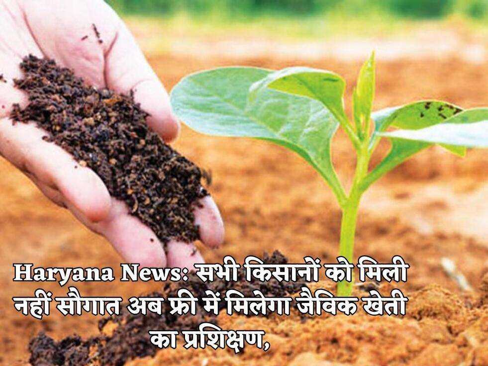 Haryana News: सभी किसानों को मिली नहीं सौगात अब फ्री में मिलेगा जैविक खेती का प्रशिक्षण,