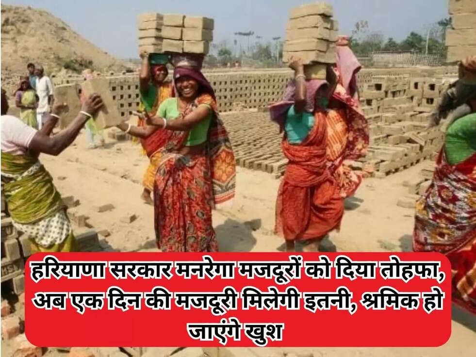 haryana news