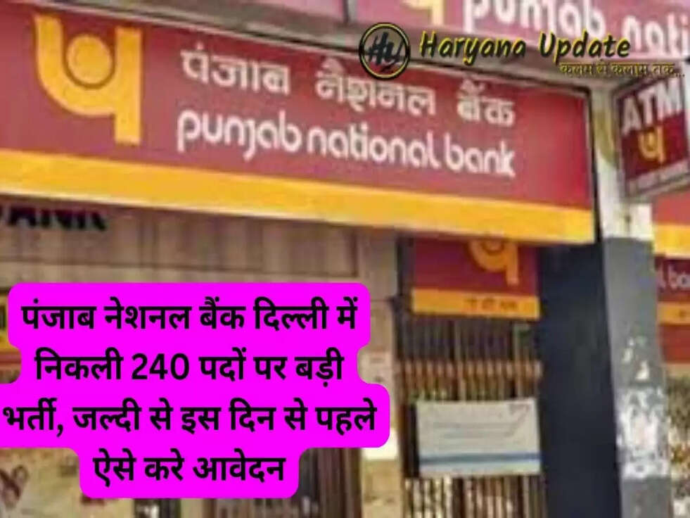 पंजाब नेशनल बैंक दिल्ली में निकली 240 पदों पर बड़ी भर्ती, जल्दी से इस दिन से पहले ऐसे करे आवेदन...