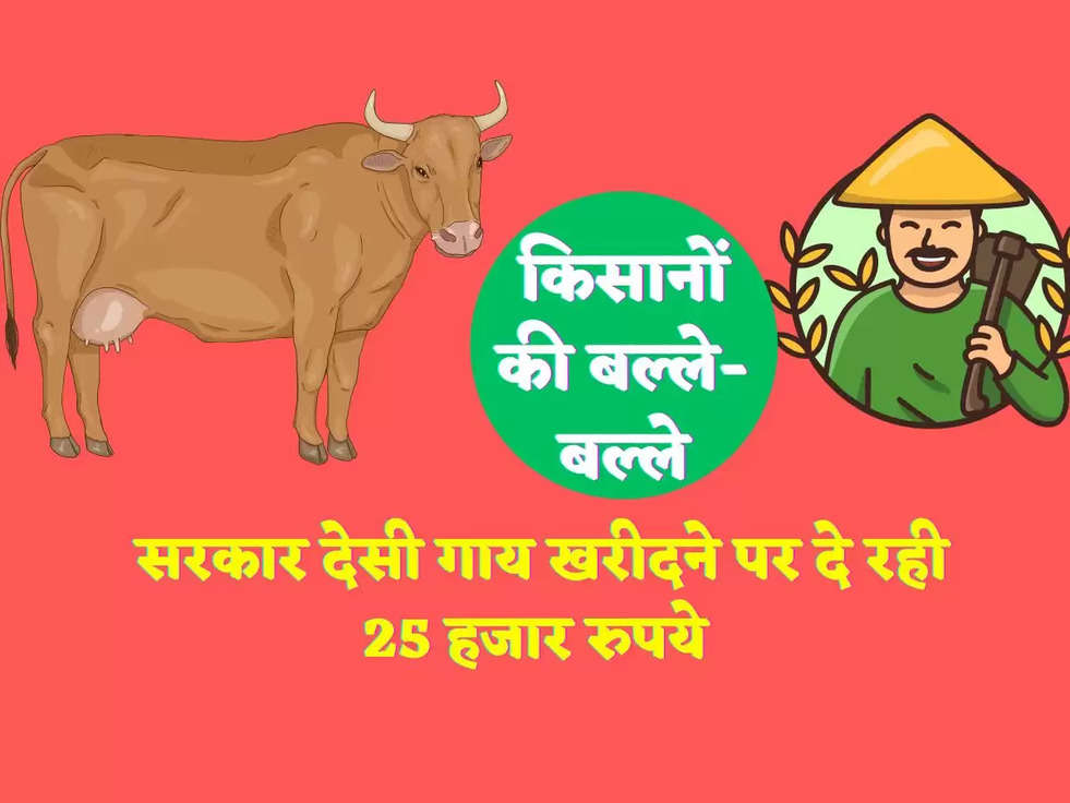 सरकार देसी गाय खरीदने पर दे रही 25 हजार रुपये