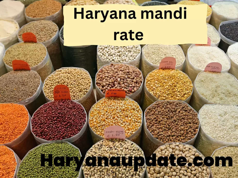 Haryana mandi rate