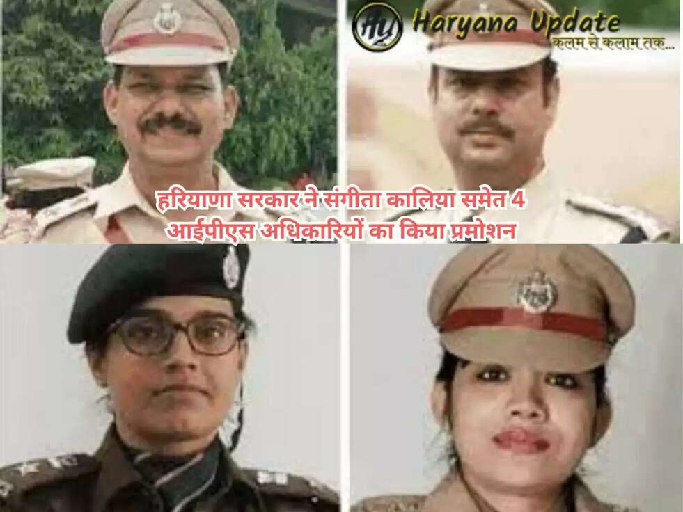Haryana &nbsp;IPS Officer: 