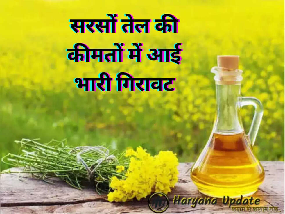 mustard oil price 