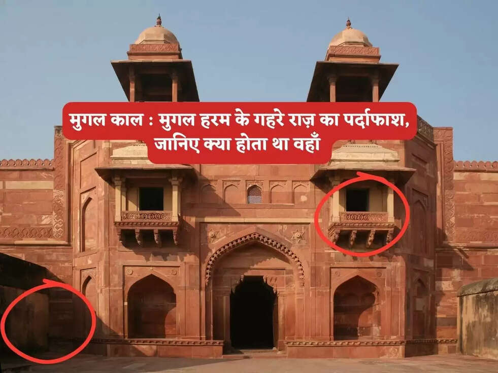 मुगल काल&nbsp;: मुगल हरम के&nbsp;गहरे राज़ का पर्दाफाश, जानिए क्या होता था वहाँ&nbsp;