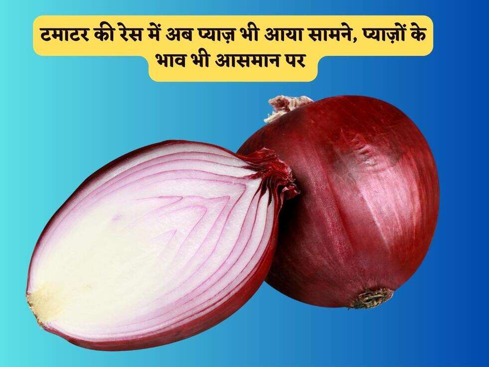 टमाटर की रेस में अब प्याज़ भी आया सामने, प्याज़ों के भाव भी आसमान पर&nbsp;