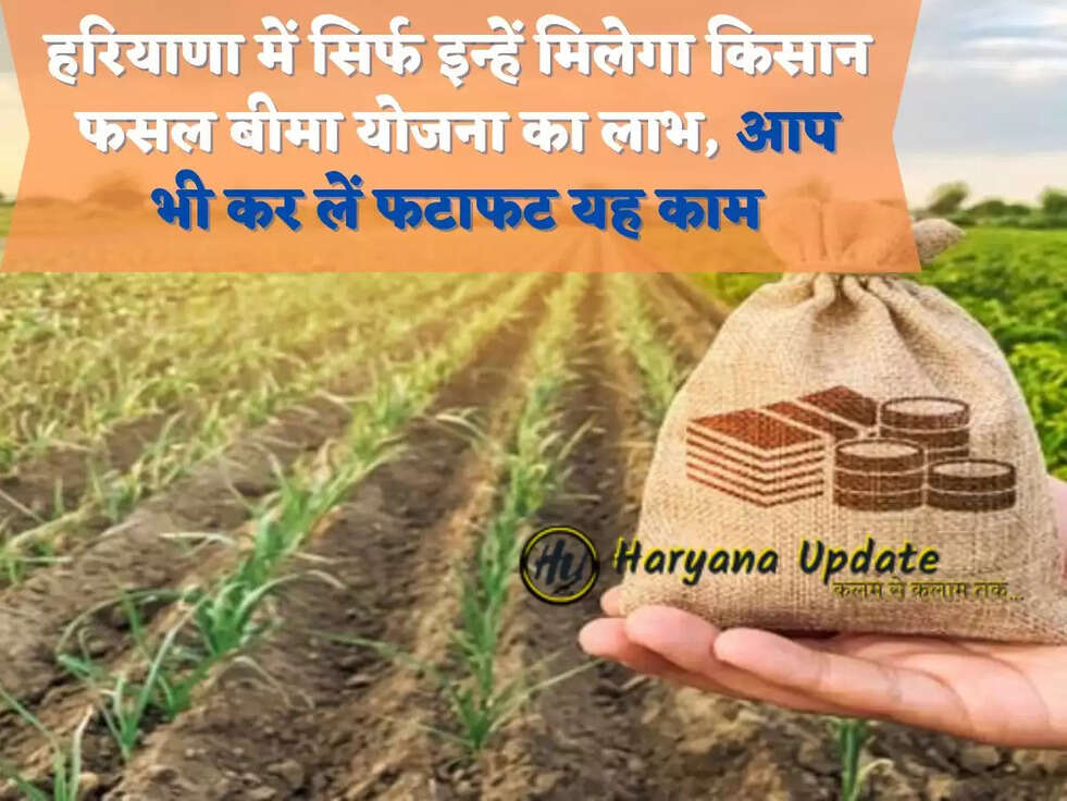 हरियाणा में सिर्फ इन्हें मिलेगा किसान फसल बीमा योजना का लाभ, आप भी कर लें फटाफट यह काम