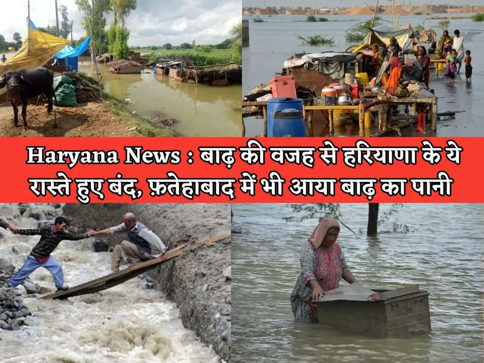 Haryana News : बाढ़&nbsp;की वजह से हरियाणा के ये रास्ते हुए बंद, फ़तेहाबाद में भी आया बाढ़ का पानी&nbsp;