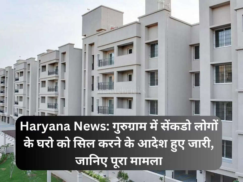 Gurugram home sealing