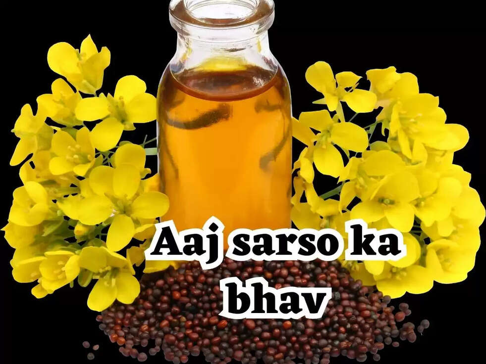 Aaj sarso ka bhav:&nbsp;हरियाणा में सरसों का आज का रेट, जानिए अपने शहर के अनुसार रेट&nbsp;