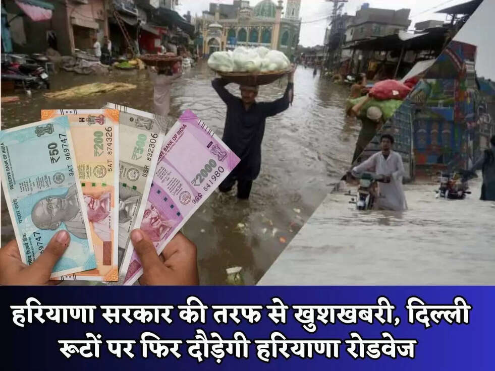 Haryana News : हरियाणा के इन 12 जिलो को मिल रहे है बाढ़ के पैसे, सरकारी पोर्टल हुआ ओपन, यहाँ करें आवेदन&nbsp;