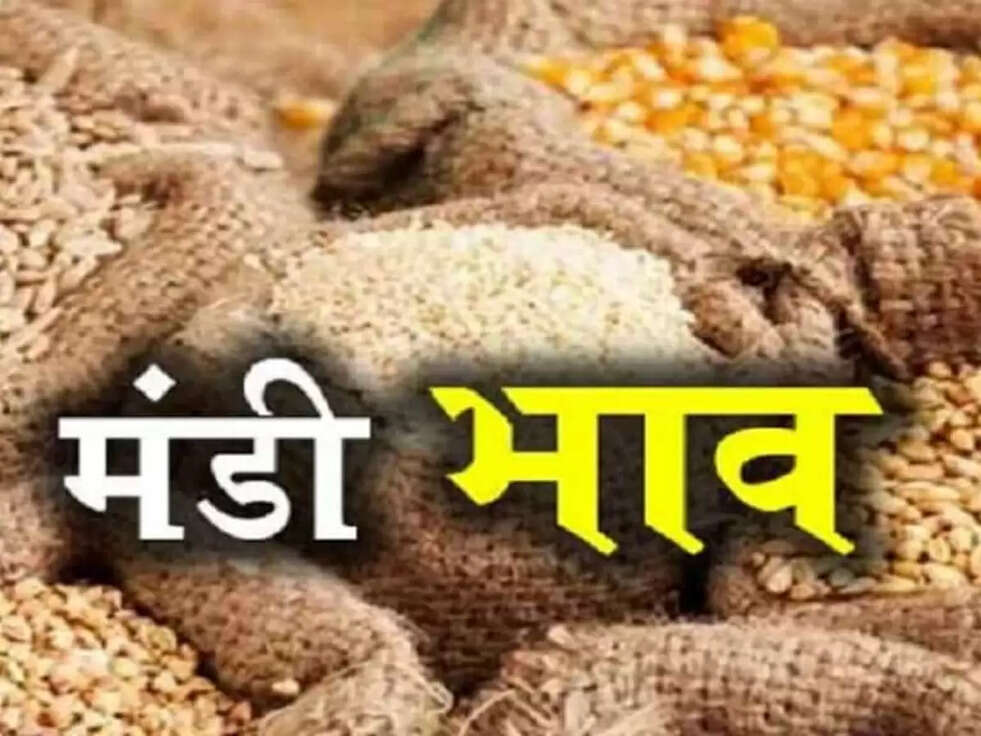 Mandi Bhav: सरसों, मूंग और चना के आए नए भाव सामने,जानिये क्या आया बदलाव 