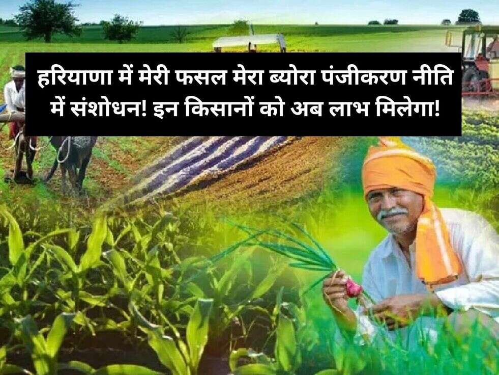 हरियाणा में मेरी फसल मेरा ब्योरा पंजीकरण नीति में संशोधन! इन किसानों को अब लाभ मिलेगा!
