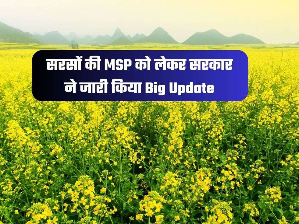 सरसों की MSP को लेकर सरकार ने जारी किया Big Update