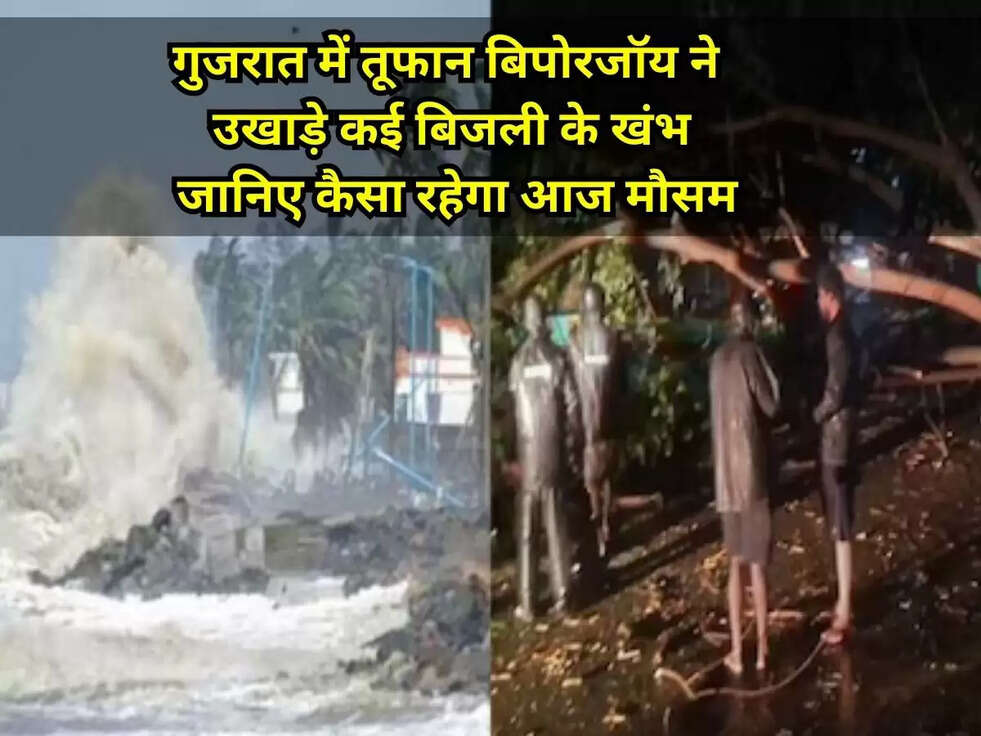 Cyclone Biporjoy: गुजरात में तूफान बिपोरजॉय ने उखाड़े कई बिजली के खंभे, जानिए कैसा रहेगा आज मौसम